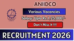 ANIIDCO Recruitment 2026 – Apply Offline for 12 Senior Consultant/Consultant/Young Professionals Posts