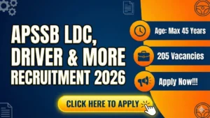 APSSB Recruitment 2026 Out – Apply Online 205 Lower Division Clerk, Driver and More Posts