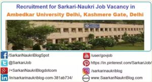 AUD Delhi Faculty Vacancy Recruitment 2025-26