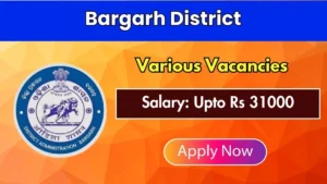 Bargarh District Recruitment 2026 – Apply Online for District Project Coordinator Posts