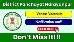 District Panchayat Narayanpur Recruitment 2026