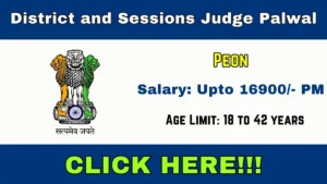 District and Sessions Judge Palwal Peon Recruitment 2026 Out