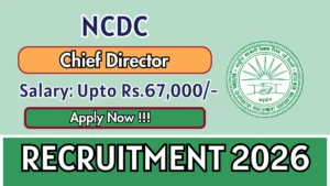 NCDC Chief Director Recruitment 2026