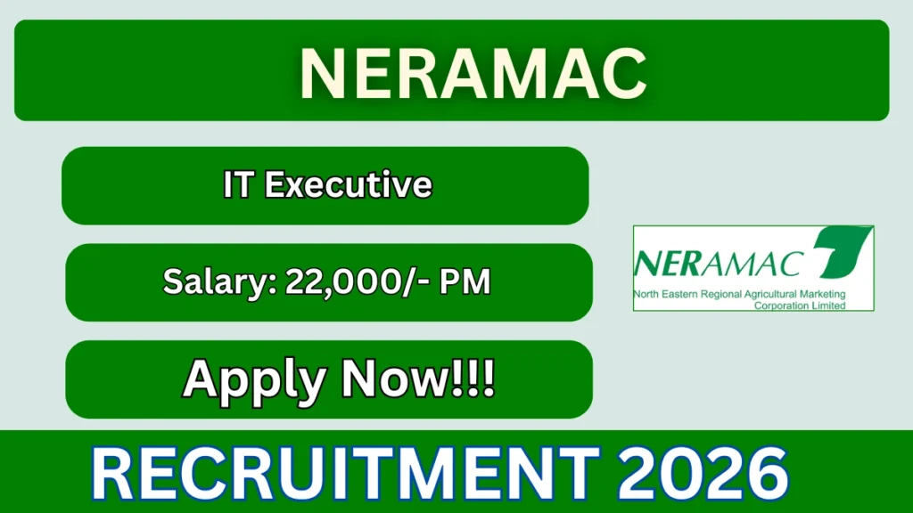 NERAMAC IT Executive Recruitment 2026