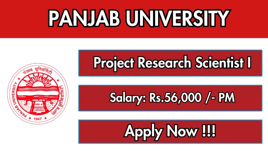 NeGD Senior AI/ML Engineer Recruitment 2026