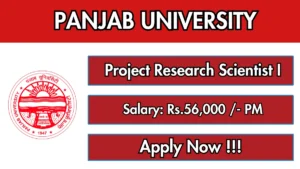 NeGD Senior AI/ML Engineer Recruitment 2026