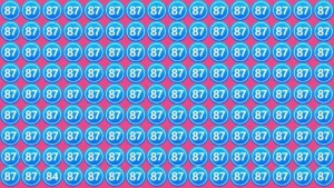 Optical Illusion Eye Test: Can you Find the Number 84 among 87 in 7 Secs