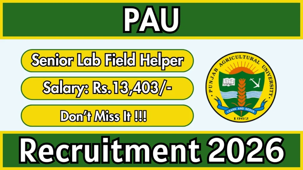 PAU Senior Lab Field Helper Recruitment 2026