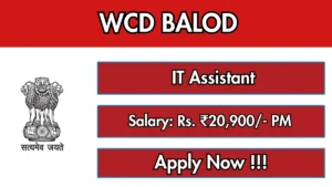 WCD Balod IT Assistant Recruitment 2026